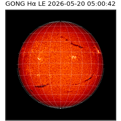 gong - 2026-05-20T05:00:42