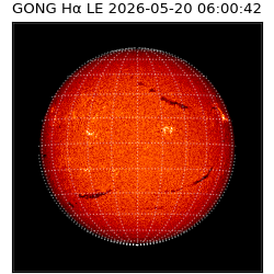 gong - 2026-05-20T06:00:42