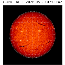 gong - 2026-05-20T07:00:42