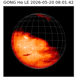 gong - 2026-05-20T08:01:42