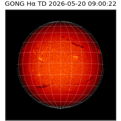 gong - 2026-05-20T09:00:22