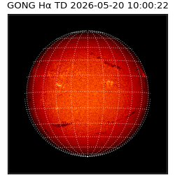 gong - 2026-05-20T10:00:22