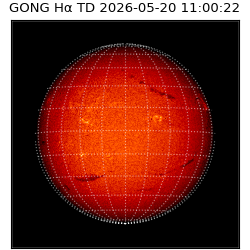 gong - 2026-05-20T11:00:22