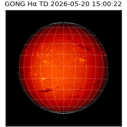 gong - 2026-05-20T15:00:22