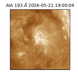 saia - 2026-05-21T19:00:04.843000