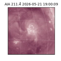 saia - 2026-05-21T19:00:09.624000