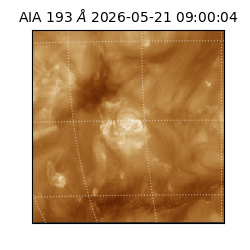 saia - 2026-05-21T09:00:04.842000