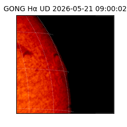 gong - 2026-05-21T09:00:02