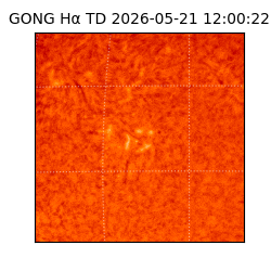 gong - 2026-05-21T12:00:22