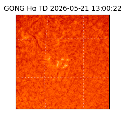 gong - 2026-05-21T13:00:22