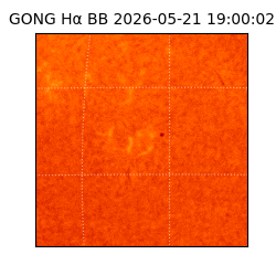 gong - 2026-05-21T19:00:02