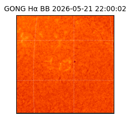 gong - 2026-05-21T22:00:02