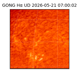 gong - 2026-05-21T07:00:02