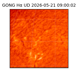 gong - 2026-05-21T09:00:02