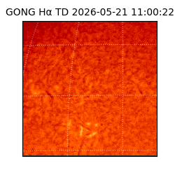 gong - 2026-05-21T11:00:22