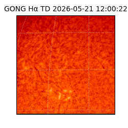 gong - 2026-05-21T12:00:22