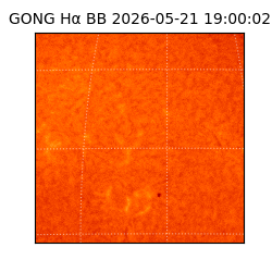 gong - 2026-05-21T19:00:02