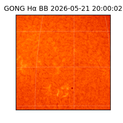 gong - 2026-05-21T20:00:02