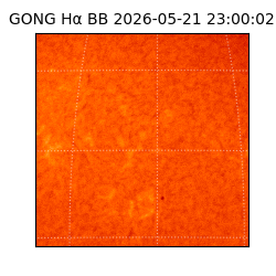gong - 2026-05-21T23:00:02