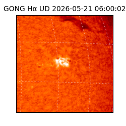 gong - 2026-05-21T06:00:02
