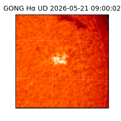 gong - 2026-05-21T09:00:02