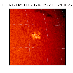gong - 2026-05-21T12:00:22