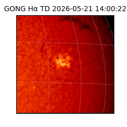 gong - 2026-05-21T14:00:22
