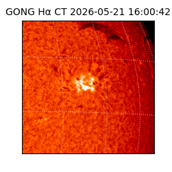 gong - 2026-05-21T16:00:42