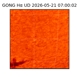 gong - 2026-05-21T07:00:02