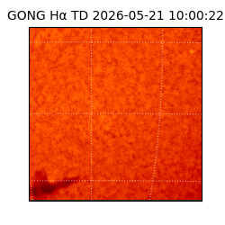 gong - 2026-05-21T10:00:22