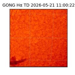 gong - 2026-05-21T11:00:22