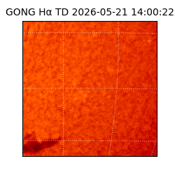gong - 2026-05-21T14:00:22