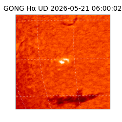 gong - 2026-05-21T06:00:02