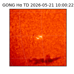gong - 2026-05-21T10:00:22