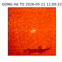 gong - 2026-05-21T11:00:22