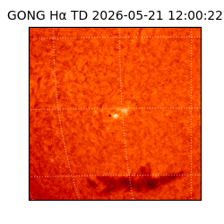 gong - 2026-05-21T12:00:22