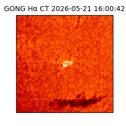 gong - 2026-05-21T16:00:42