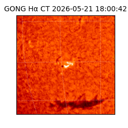 gong - 2026-05-21T18:00:42