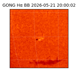 gong - 2026-05-21T20:00:02