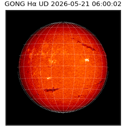 gong - 2026-05-21T06:00:02