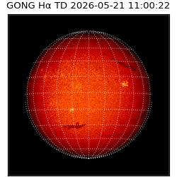 gong - 2026-05-21T11:00:22