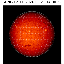 gong - 2026-05-21T14:00:22