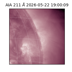 saia - 2026-05-22T19:00:09.630000