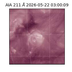 saia - 2026-05-22T03:00:09.623000