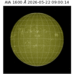 saia - 2026-05-22T09:00:14.123000