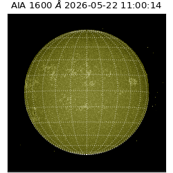 saia - 2026-05-22T11:00:14.130000