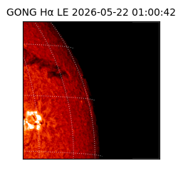 gong - 2026-05-22T01:00:42