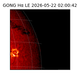 gong - 2026-05-22T02:00:42