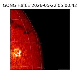 gong - 2026-05-22T05:00:42