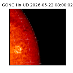 gong - 2026-05-22T08:00:02